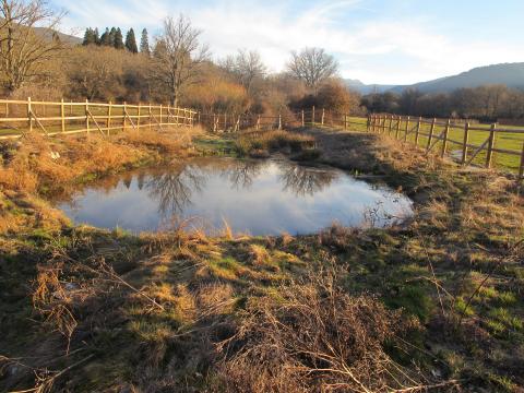 Charca para anfibios en “El Parque”