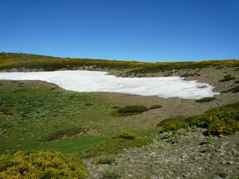 Ventisquero Fuente Pajaros